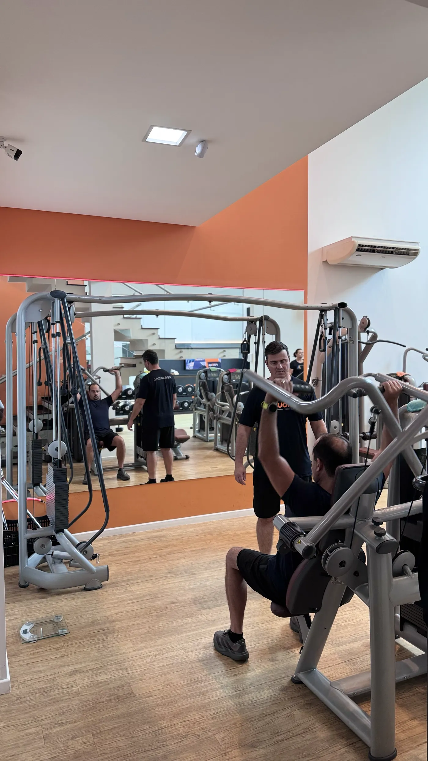 Musculação